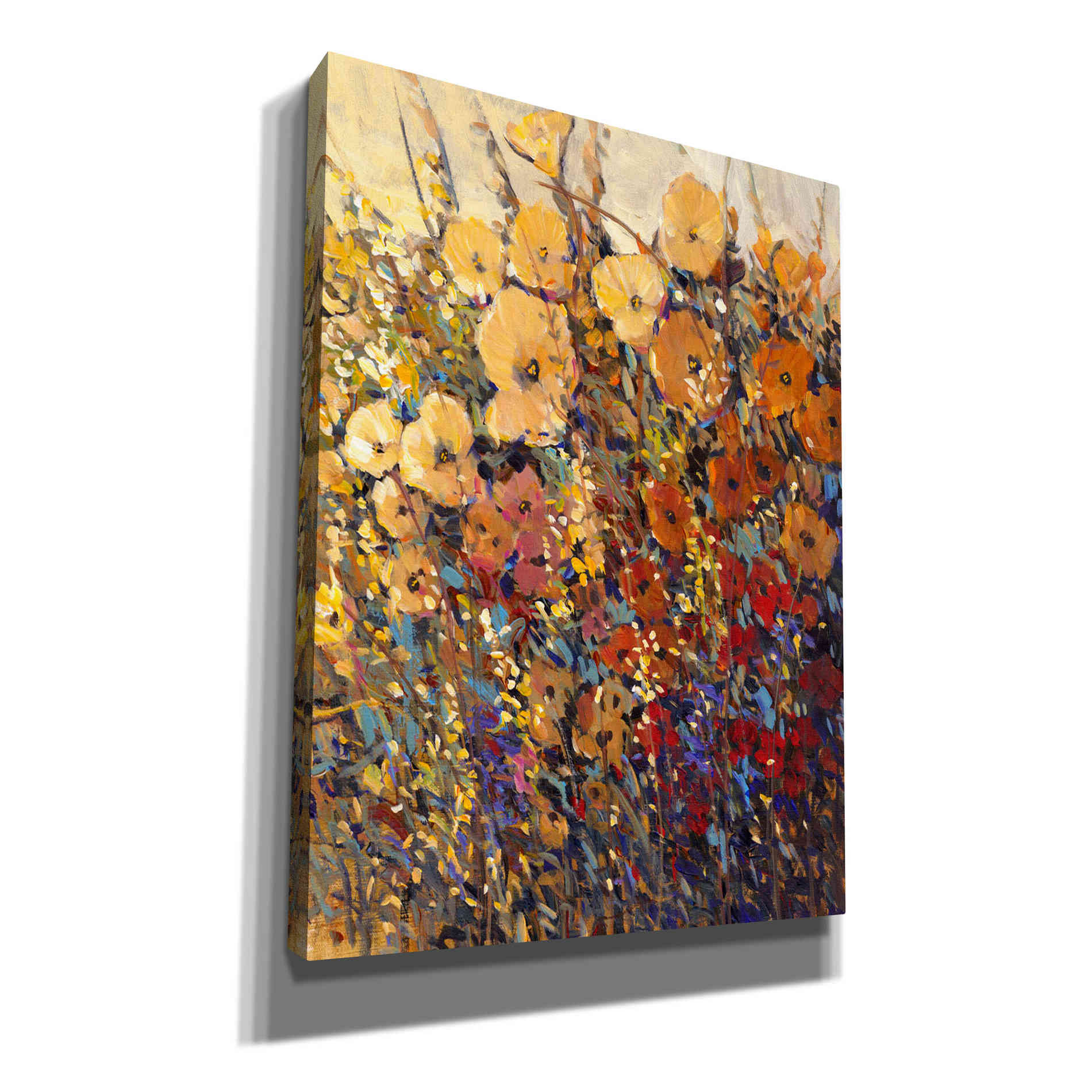 'Bright & Bold Flowers II' by Tim O'Toole, Canvas Wall Art