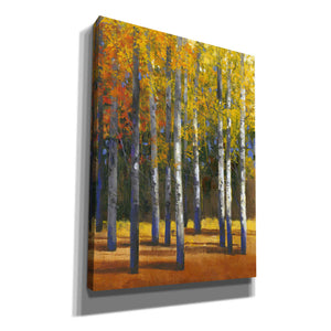 'Fall in Glory I' by Tim O'Toole, Canvas Wall Art