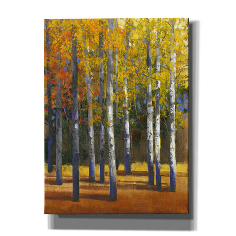 Image of 'Fall in Glory I' by Tim O'Toole, Canvas Wall Art