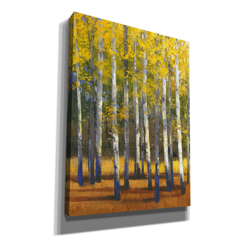 Image of 'Fall in Glory II' by Tim O'Toole, Canvas Wall Art