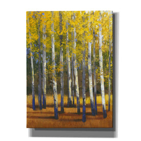 'Fall in Glory II' by Tim O'Toole, Canvas Wall Art