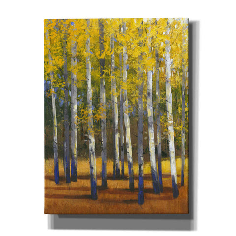 Image of 'Fall in Glory II' by Tim O'Toole, Canvas Wall Art