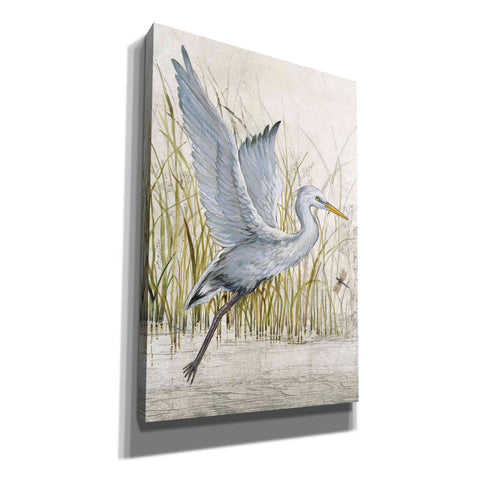 Image of 'Heron Sanctuary I' by Tim O'Toole, Canvas Wall Art