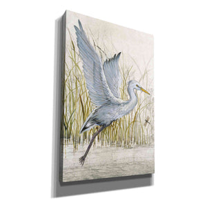 'Heron Sanctuary I' by Tim O'Toole, Canvas Wall Art