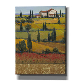 'Hilltop Villa I' by Tim O'Toole, Canvas Wall Art