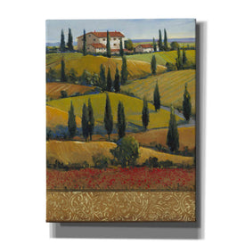 'Hilltop Villa II' by Tim O'Toole, Canvas Wall Art