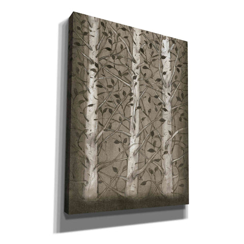 Image of 'Intertwine I' by Tim O'Toole, Canvas Wall Art