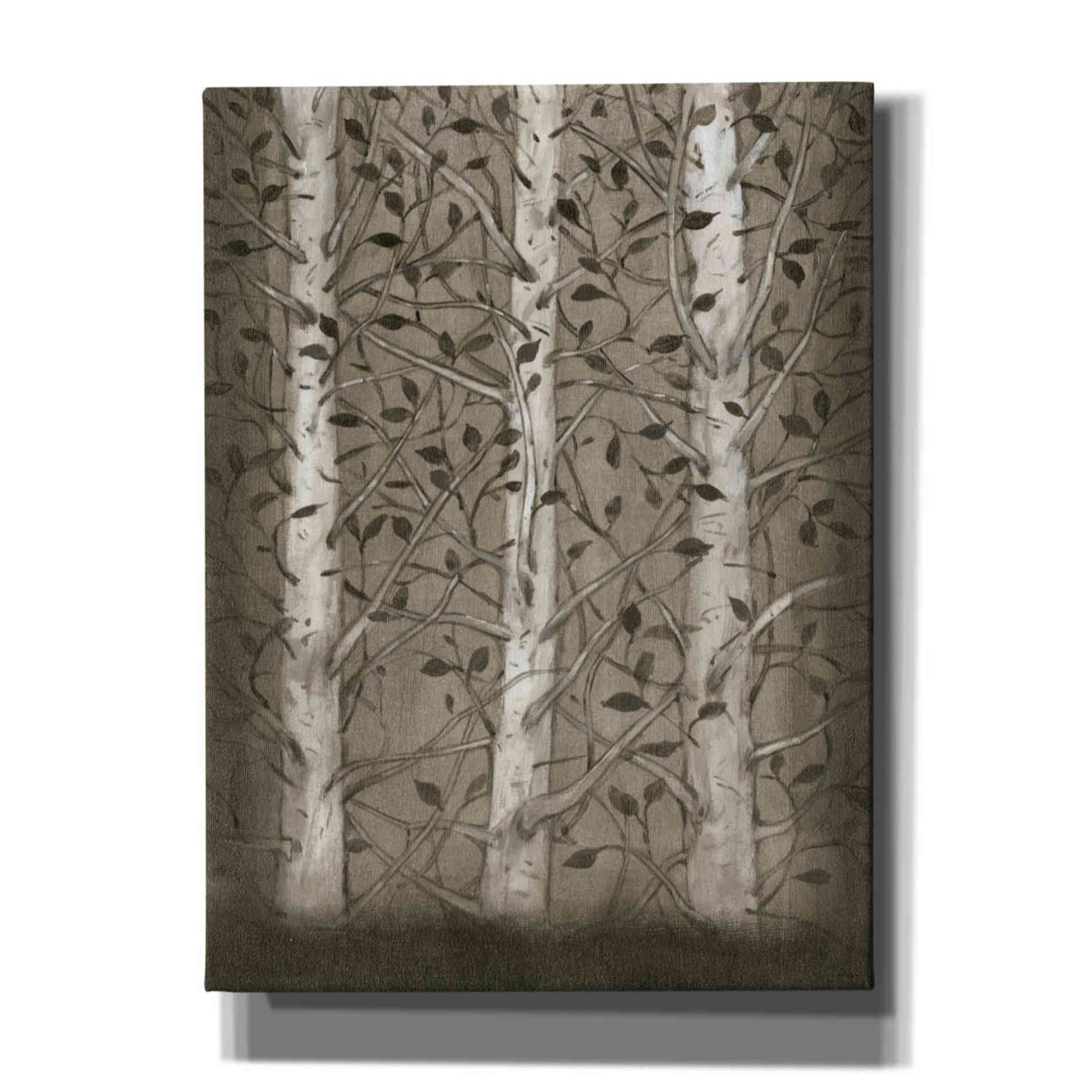 'Intertwine I' by Tim O'Toole, Canvas Wall Art