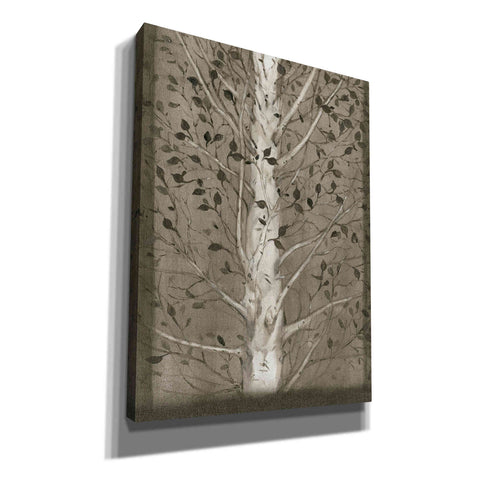 Image of 'Intertwine II' by Tim O'Toole, Canvas Wall Art