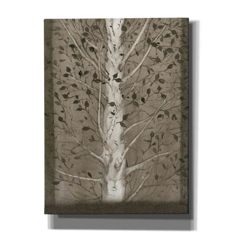 Image of 'Intertwine II' by Tim O'Toole, Canvas Wall Art