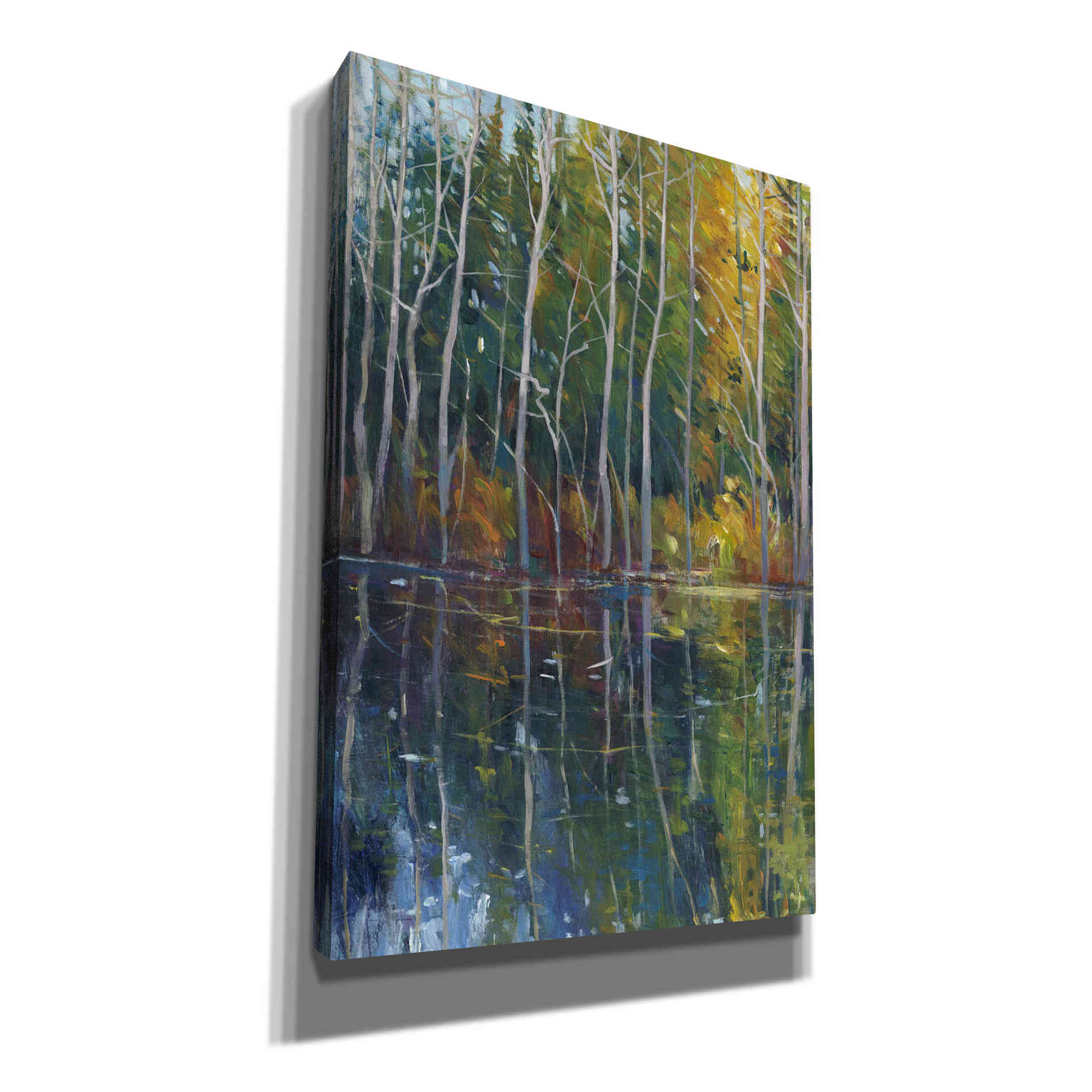 'Pine Reflection II' by Tim O'Toole, Canvas Wall Art