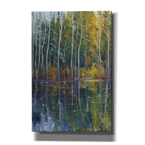 'Pine Reflection II' by Tim O'Toole, Canvas Wall Art