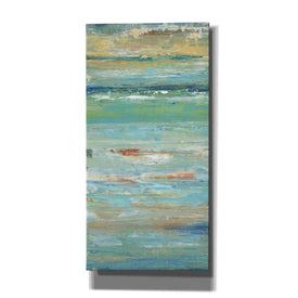 'Riptide I' by Tim O'Toole, Canvas Wall Art