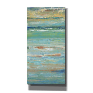 'Riptide I' by Tim O'Toole, Canvas Wall Art