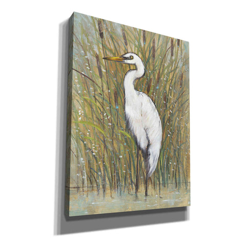 Image of 'White Egret I' by Tim O'Toole, Canvas Wall Art
