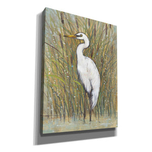 'White Egret I' by Tim O'Toole, Canvas Wall Art