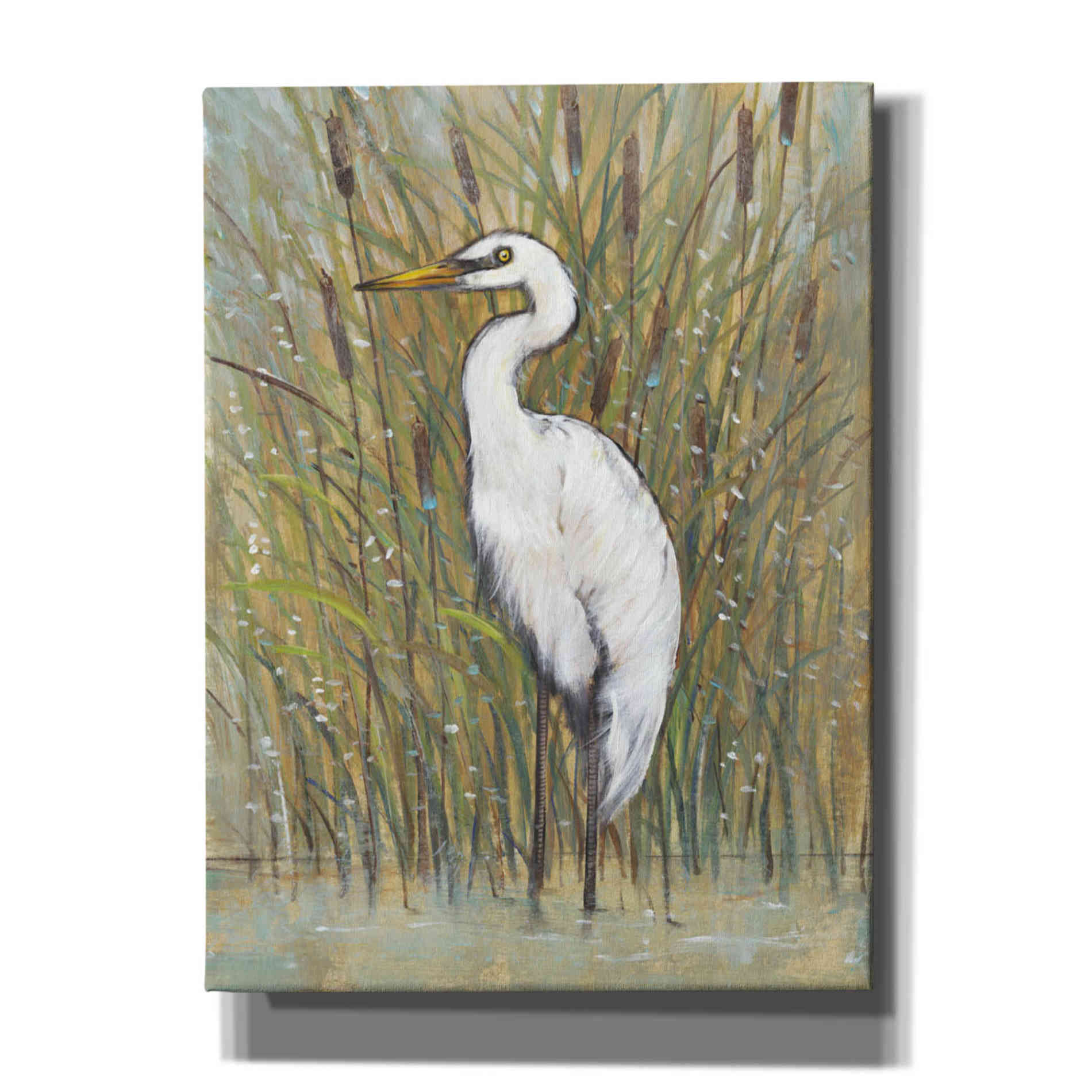 'White Egret I' by Tim O'Toole, Canvas Wall Art