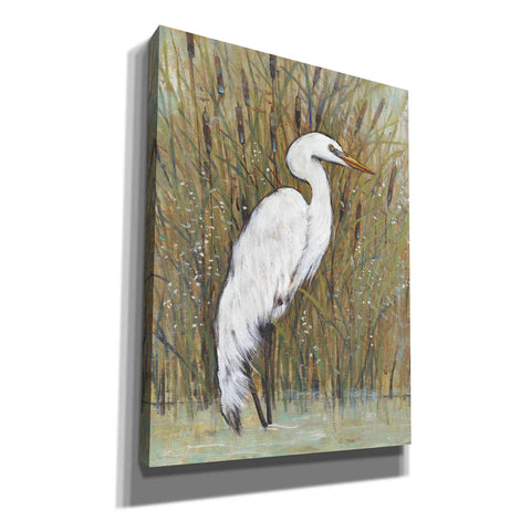 Image of 'White Egret II' by Tim O'Toole, Canvas Wall Art
