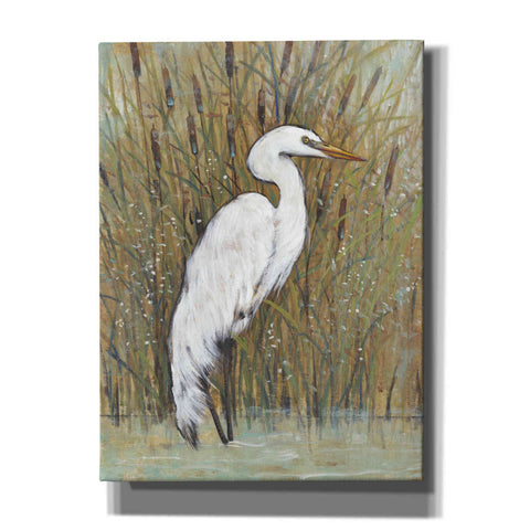 Image of 'White Egret II' by Tim O'Toole, Canvas Wall Art