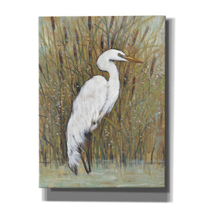 'White Egret II' by Tim O'Toole, Canvas Wall Art