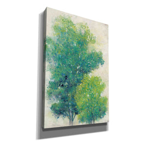 'A Pair of Trees I' by Tim O'Toole, Canvas Wall Art