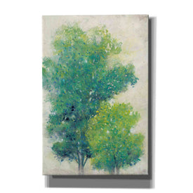 'A Pair of Trees I' by Tim O'Toole, Canvas Wall Art