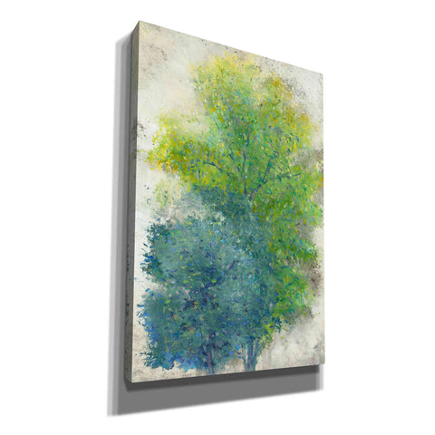 Image of 'A Pair of Trees II' by Tim O'Toole, Canvas Wall Art