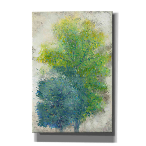 Image of 'A Pair of Trees II' by Tim O'Toole, Canvas Wall Art