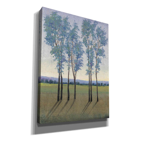 Image of 'Acreage I' by Tim O'Toole, Canvas Wall Art