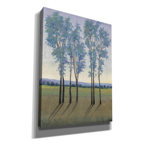 'Acreage I' by Tim O'Toole, Canvas Wall Art