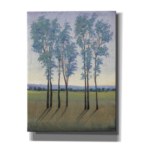 Image of 'Acreage I' by Tim O'Toole, Canvas Wall Art