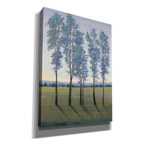 Image of 'Acreage II' by Tim O'Toole, Canvas Wall Art