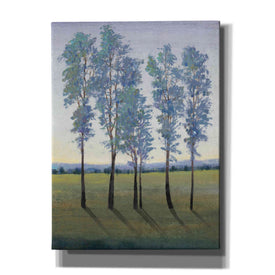 'Acreage II' by Tim O'Toole, Canvas Wall Art