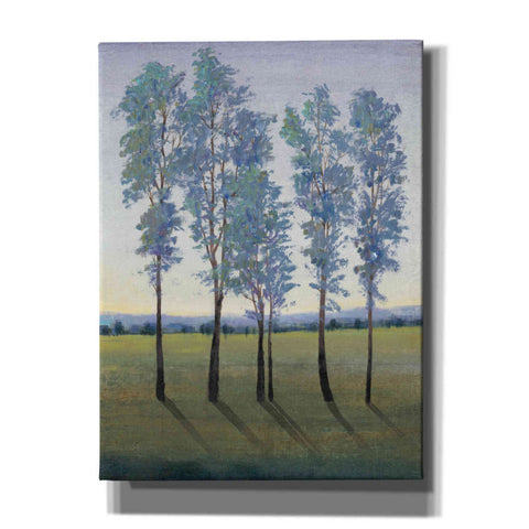 Image of 'Acreage II' by Tim O'Toole, Canvas Wall Art