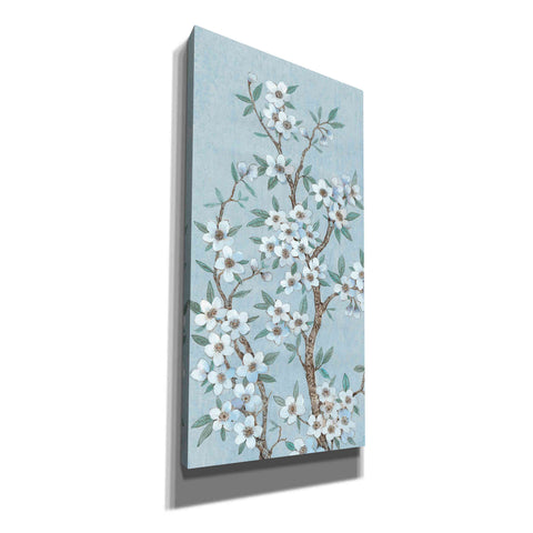 Image of 'Branches of Blossoms I' by Tim O'Toole, Canvas Wall Art