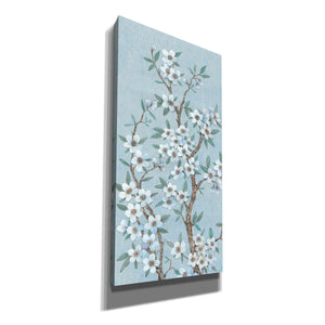 'Branches of Blossoms I' by Tim O'Toole, Canvas Wall Art