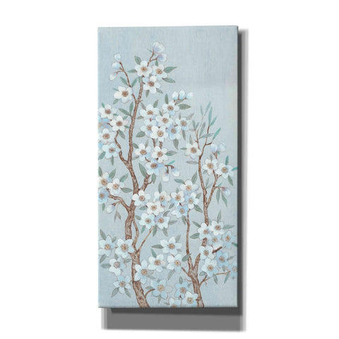 Image of 'Branches of Blossoms II' by Tim O'Toole, Canvas Wall Art
