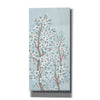 'Branches of Blossoms II' by Tim O'Toole, Canvas Wall Art