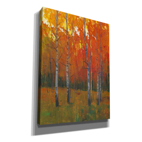 Image of 'Changing Colors I' by Tim O'Toole, Canvas Wall Art