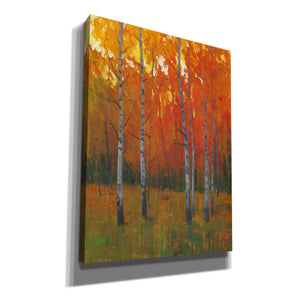 'Changing Colors I' by Tim O'Toole, Canvas Wall Art