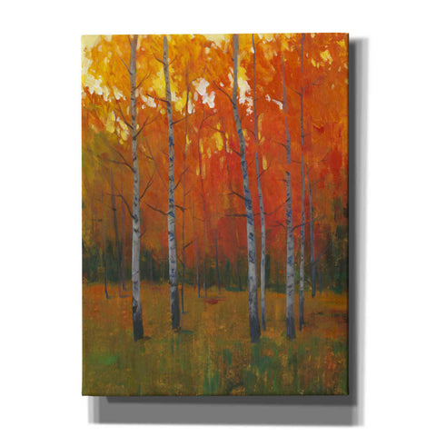 Image of 'Changing Colors I' by Tim O'Toole, Canvas Wall Art