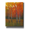'Changing Colors I' by Tim O'Toole, Canvas Wall Art