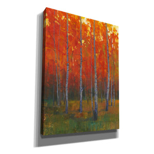 'Changing Colors II' by Tim O'Toole, Canvas Wall Art