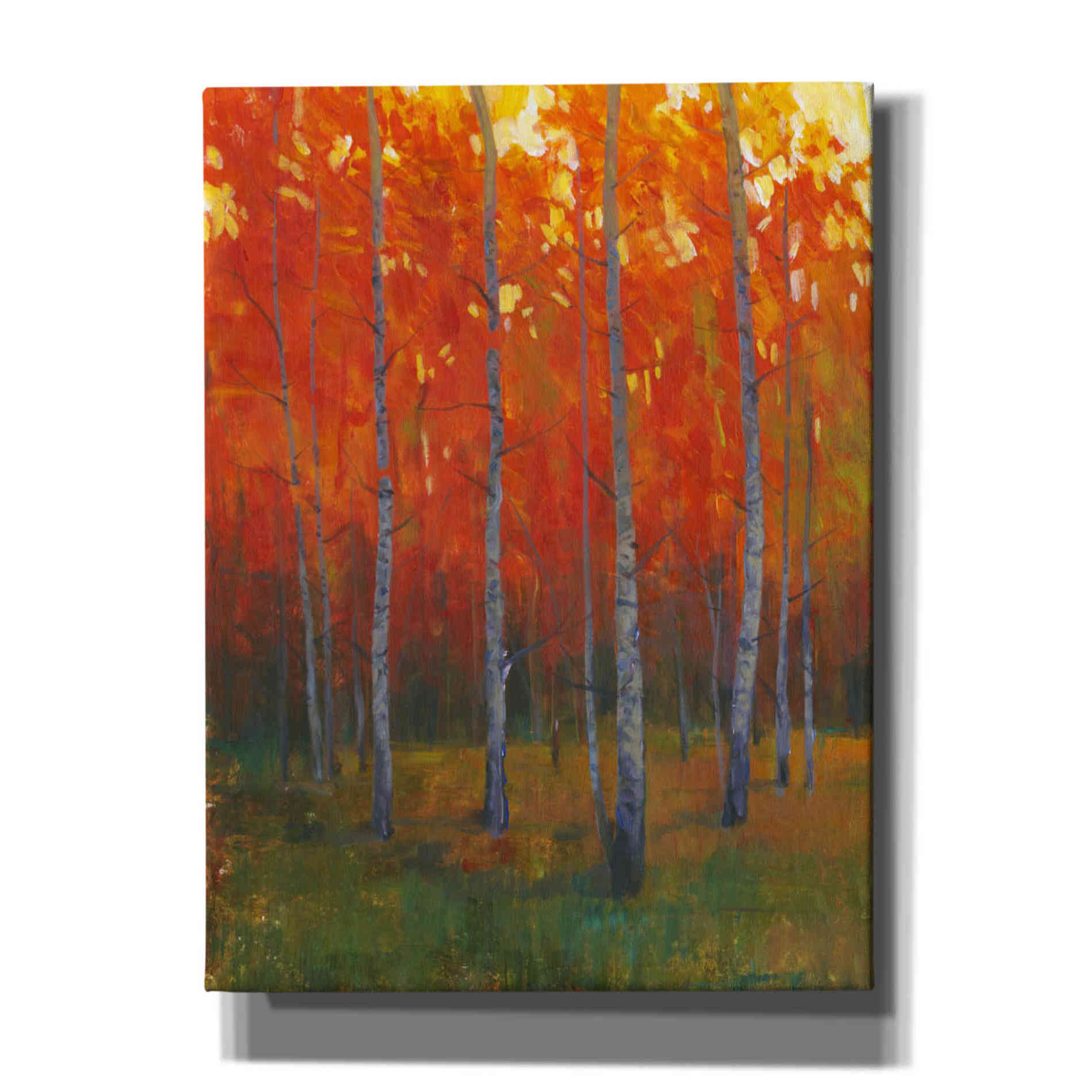 'Changing Colors II' by Tim O'Toole, Canvas Wall Art