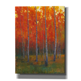 'Changing Colors II' by Tim O'Toole, Canvas Wall Art