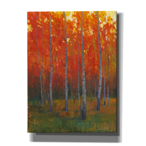 Image of 'Changing Colors II' by Tim O'Toole, Canvas Wall Art