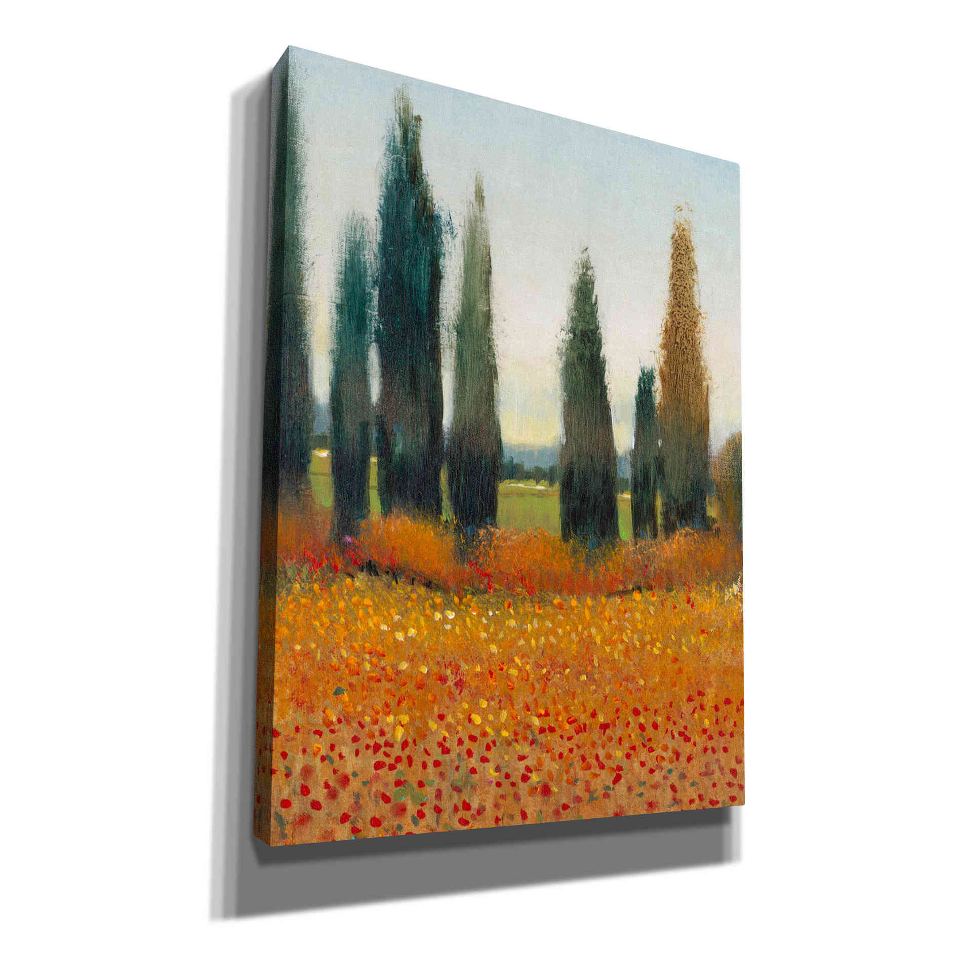 'Cypress Trees I' by Tim O'Toole, Canvas Wall Art