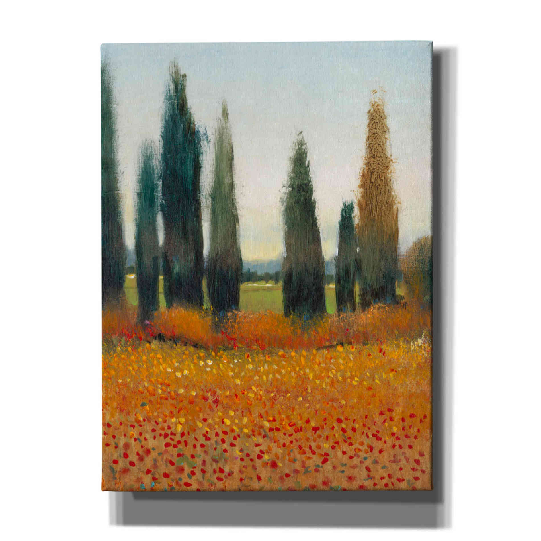 'Cypress Trees I' by Tim O'Toole, Canvas Wall Art