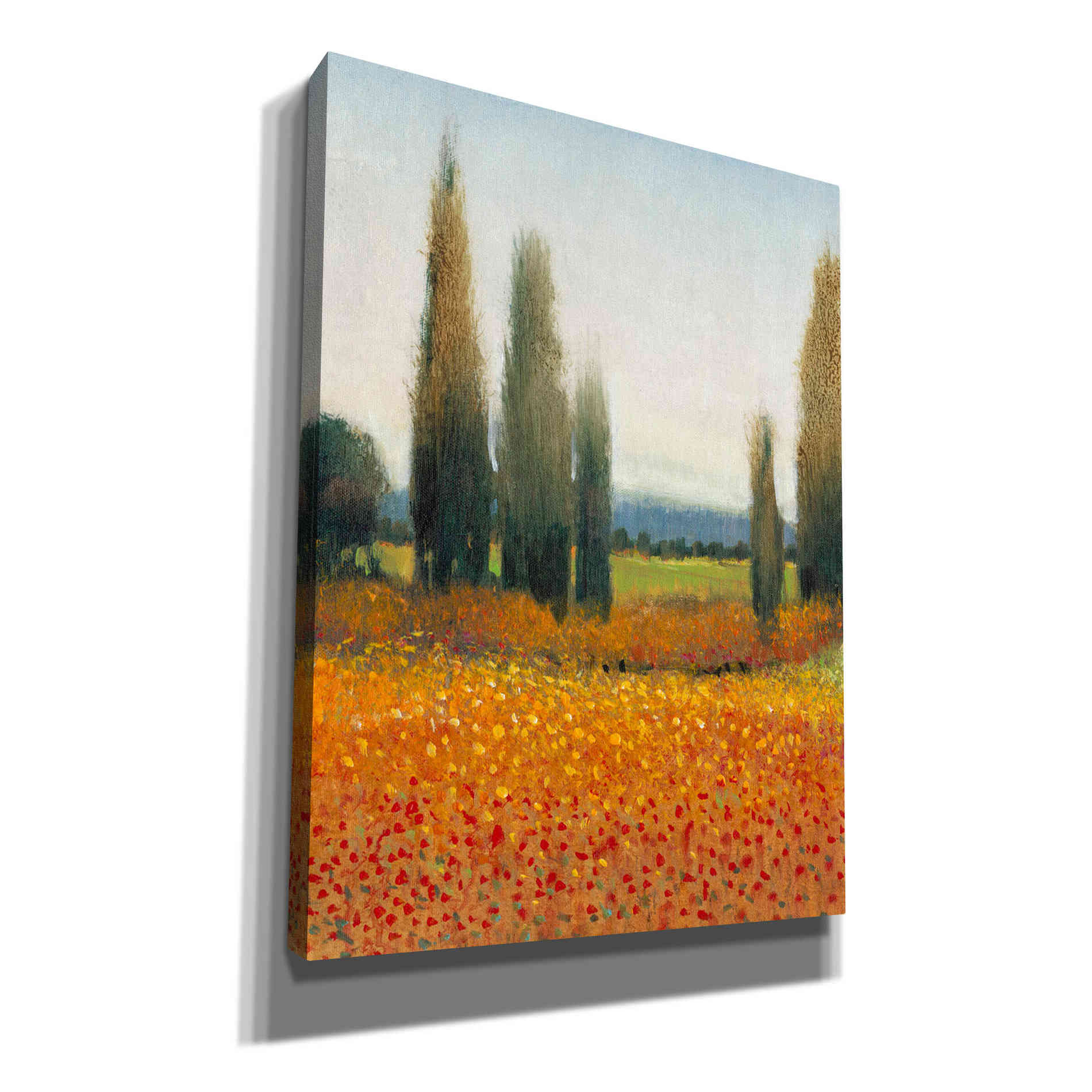 'Cypress Trees II' by Tim O'Toole, Canvas Wall Art