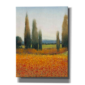 'Cypress Trees II' by Tim O'Toole, Canvas Wall Art